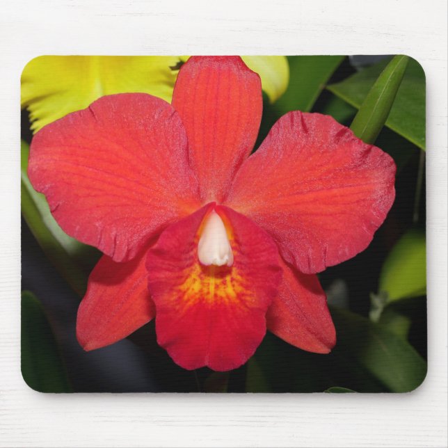 Exotic Red Orchid Mousepad (Vorne)