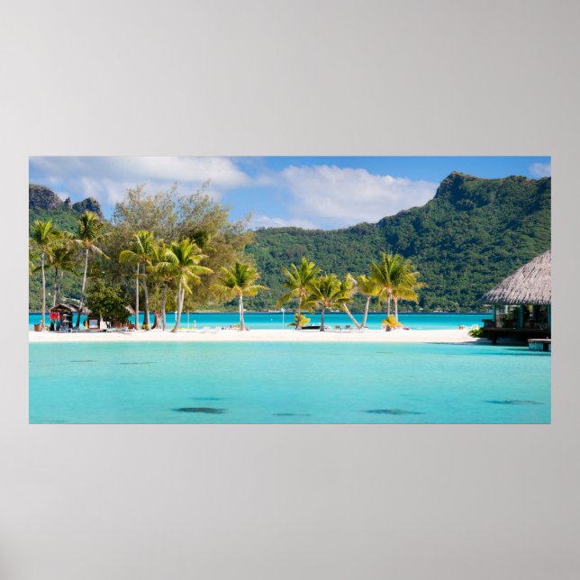 Exotic Resort Poster (Vorne)