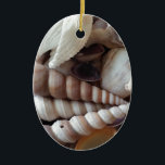 Exotic Seashells Collection, Summer Beach Keramikornament<br><div class="desc">Exotic Seashells Collection,  Summer Beach</div>