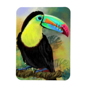 Exotic Tropical Toco Toucan Bird Magnet Cadeau