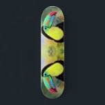 Exotic Tropical Toco Toucan Bird - Malerei Art Skateboard<br><div class="desc">Exotic Tropical Toco Toucan Bird - Malerei Migne Wasserfarbe Schöne Farben</div>