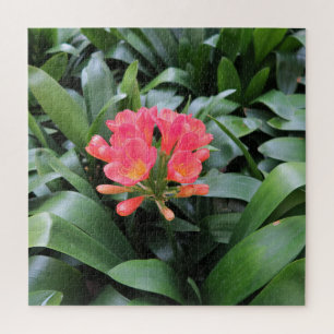 exotisch, Blatt, Sommer, Puzzle, blühend, tropisch