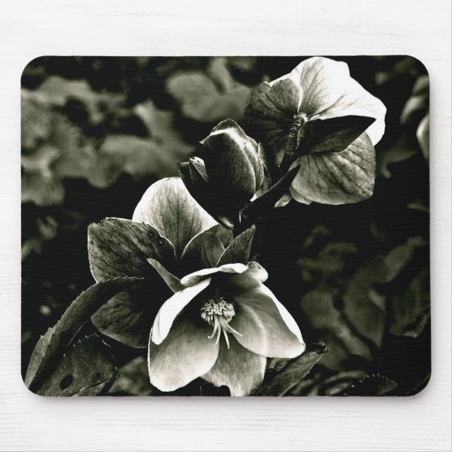 EXOTISCHE BAUM-BLUMEN IN SCHWARZWEISS MOUSEPAD (Vorne)