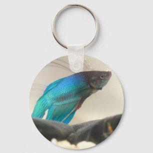 Exotische Betta Fisch-Nahaufnahme Schlüsselanhänger