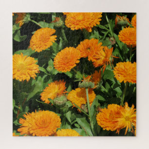 exotische, Blätter, Sommer, Masken, Blumen, tropis