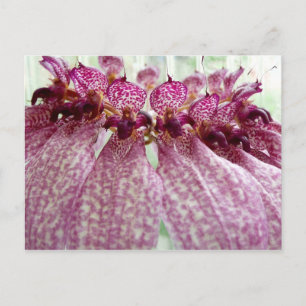 exotische Blume Postkarte