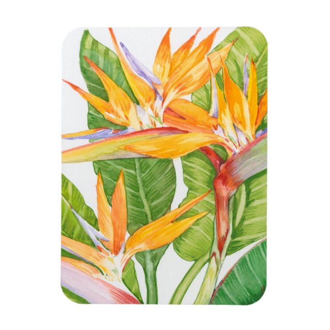 Exotische Blume Wasserfarbe Magnet (Vertikal)