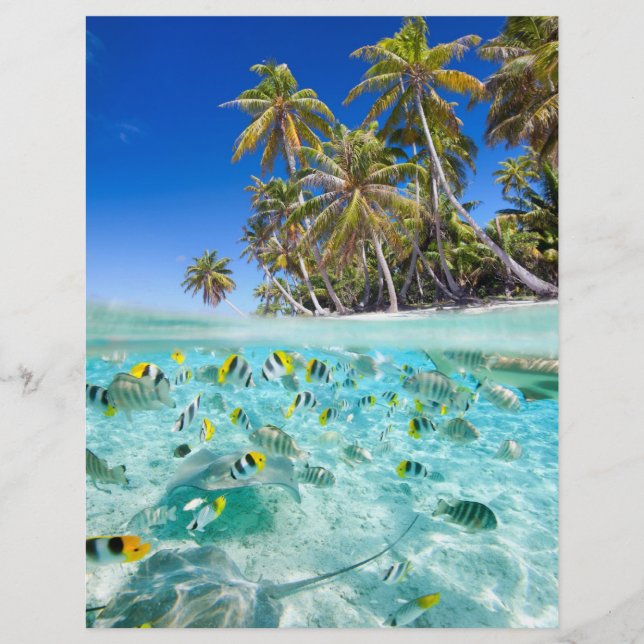 Exotische Ferien Flyer (Vorne)