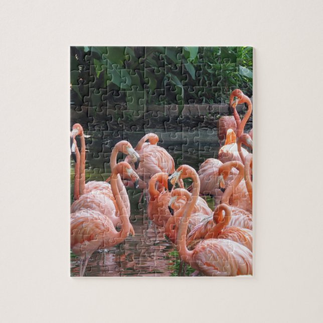 Exotische Flamingos (Vertikal)