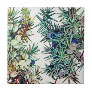 Exotische Flora #7 bei SunshineDazzle Fliese