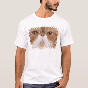 Exotische Kurzhaarkatze (2,5 Jahre alt) T-Shirt