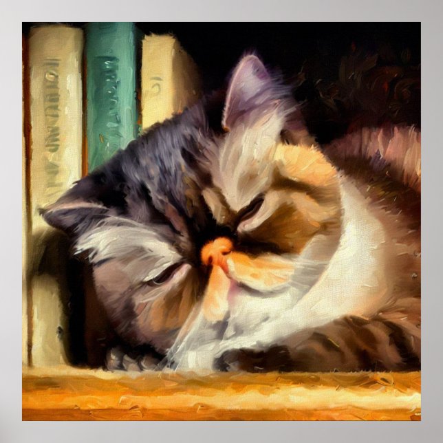 Exotische Kurzhaarkatze Poster (Vorne)