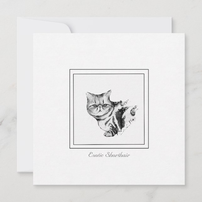 Exotische Kurzkatze - flache Karte (Vorderseite)