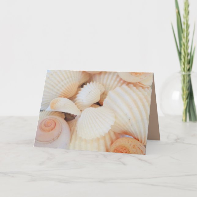 Exotische Muscheln mit weißem Pfirsich, Summer Bea Karte (Vorderseite)