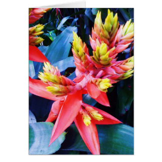 Exotische orange Gelb-schöne Blumen-Karte