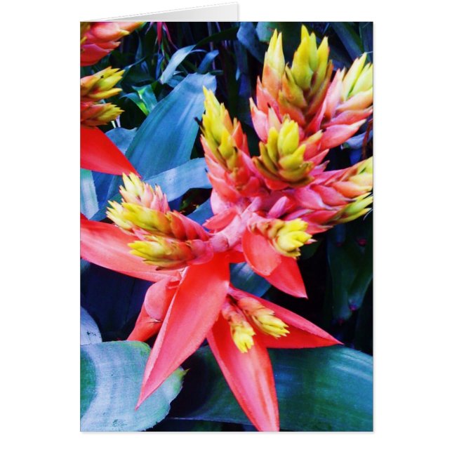 Exotische orange Gelb-schöne Blumen-Karte (Vorne)