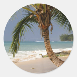 exotische Palmen am Strand Runder Aufkleber