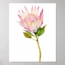 Exotische Rosa Flora Wasserfarben Kunst