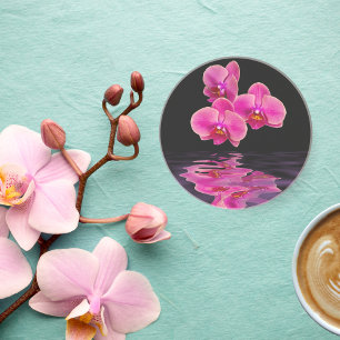Exotische rosa Orchideen Sandstein-Getränkeunterse Getränkeuntersetzer