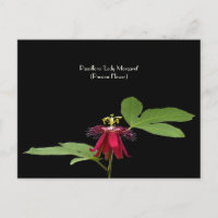 Exotische rote Passion-Blume-Sammelkarte