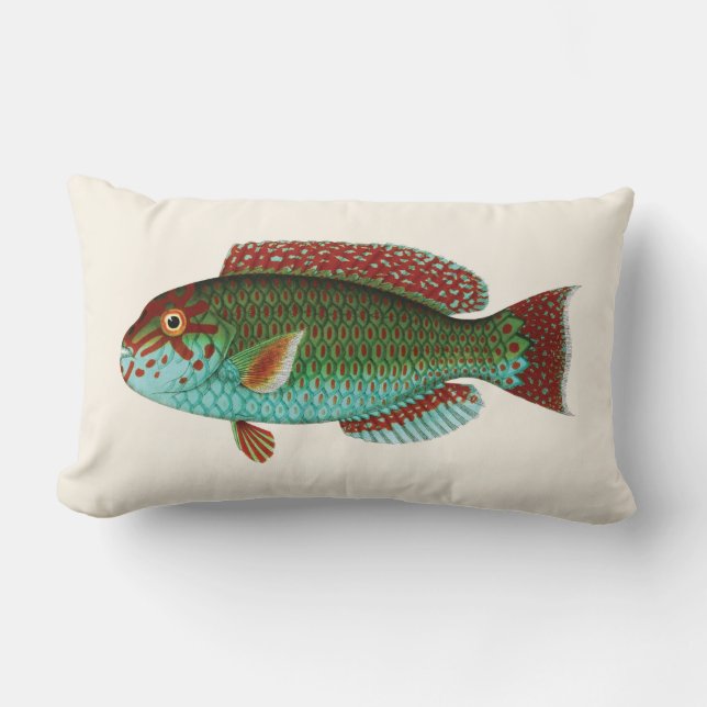 Exotische tropische Fische im Aqua-Blau und dem Lendenkissen (Vorderseite)