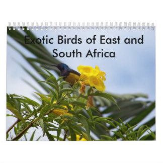 Exotische Vögel des Ostens und des Südafrikas Kalender