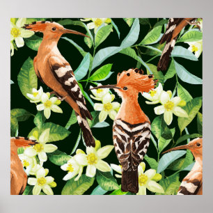 Exotische Vögel: Tropische Vintage Printwerbung Poster