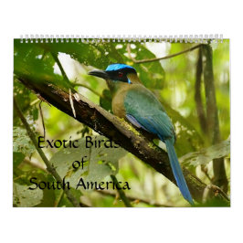 Exotische Vögel von Südamerika-Kalender 2014 Kalender