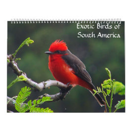 Exotische Vögel von Südamerika-Kalender Kalender