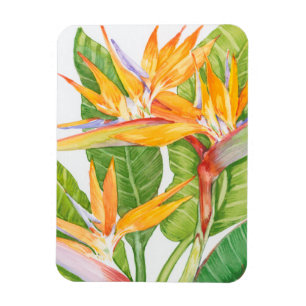 Exotischer BlumenWatercolor Magnet