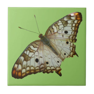 Exotischer Schmetterling aus St. Lucia Fliese