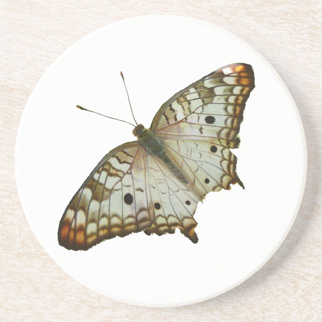 Exotischer Schmetterling aus St. Lucia Sandstein Untersetzer (Vorne)