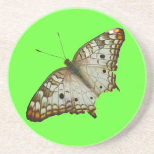 Exotischer Schmetterling aus St. Lucia Untersetzer