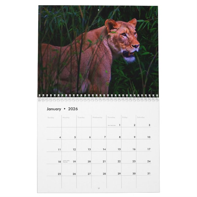 Exotischer Tierkalender Kalender (Jan 2026)