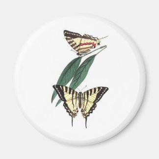 Exotischer Vogel Kühlschrankmagnet