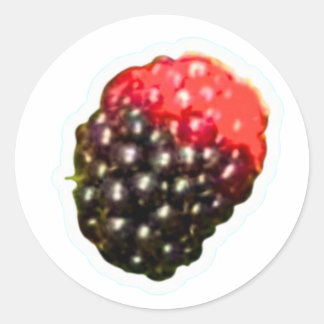 Exotischer wilder Brombeer-Aufkleber, Reifende Tro Runder Aufkleber