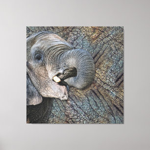 Exotisches graues Elefant-Leder-Tarnungs-Tier Leinwanddruck