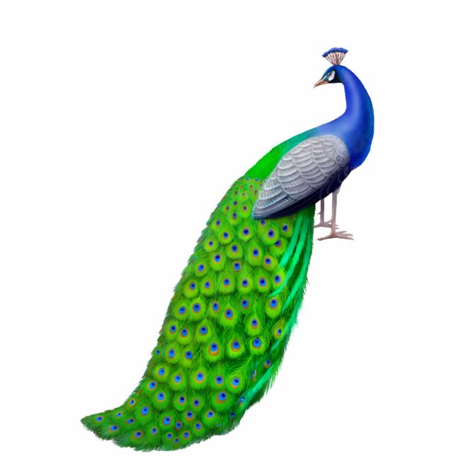 Exotisches indisches blaues Pfau-Button Freistehende Fotoskulptur (Vorne)