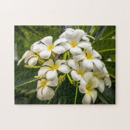 Exotisches Inselplumeria-Puzzlespiel