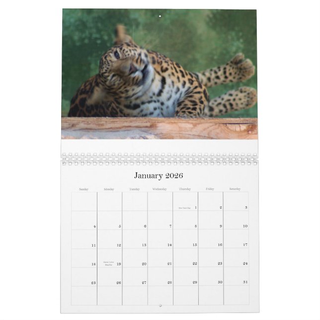 EXOTISCHES KATZENARTIGES ZÜCHTENDES MITTEL KALENDER (Jan 2026)