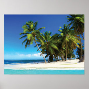 Exotisches Kissen Poster