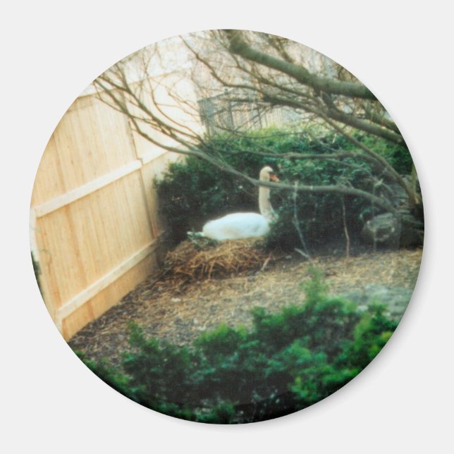 Expectant Mutter Magnet (Vorne)