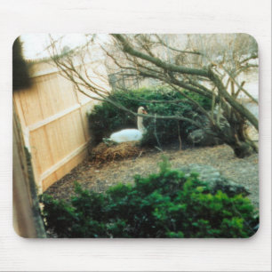 Expectant Mutter Mousepad