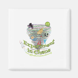 "Expérience aimant dans chaos"
