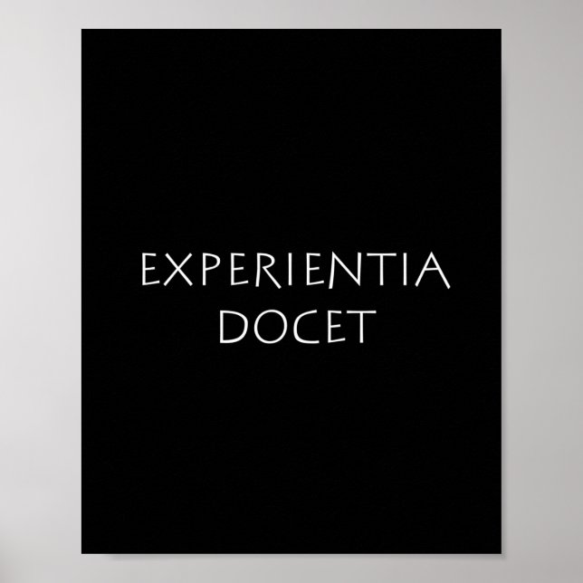 Experientia Docet Poster (Vorne)