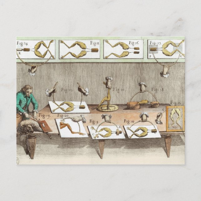 Experiment an Fröschen Postkarte (Vorderseite)