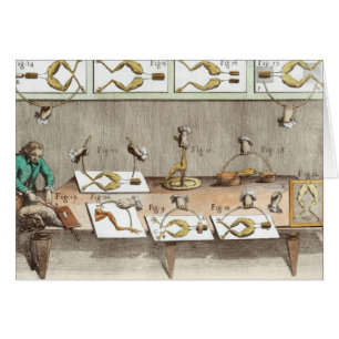 Experiment auf Fröschen