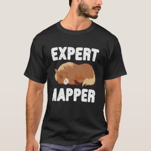 Experten-Schläfer Süßes Schlafendes Pferd Lustige T-Shirt