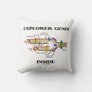 Explorer-Gene in-DNA-Replikation Kissen