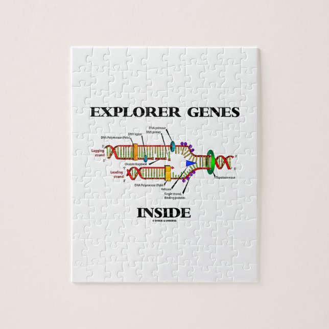 Explorer-Gene Inside (DNA-Replikation) (Vertikal)
